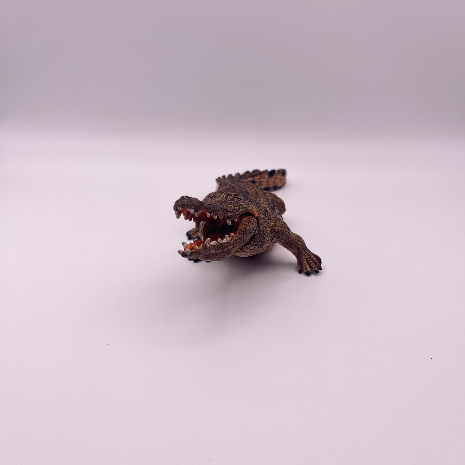 Krokodil (gebraucht)