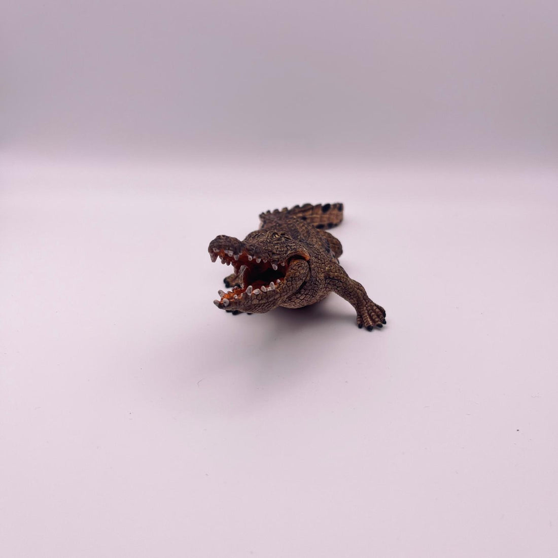 Krokodil (gebraucht)