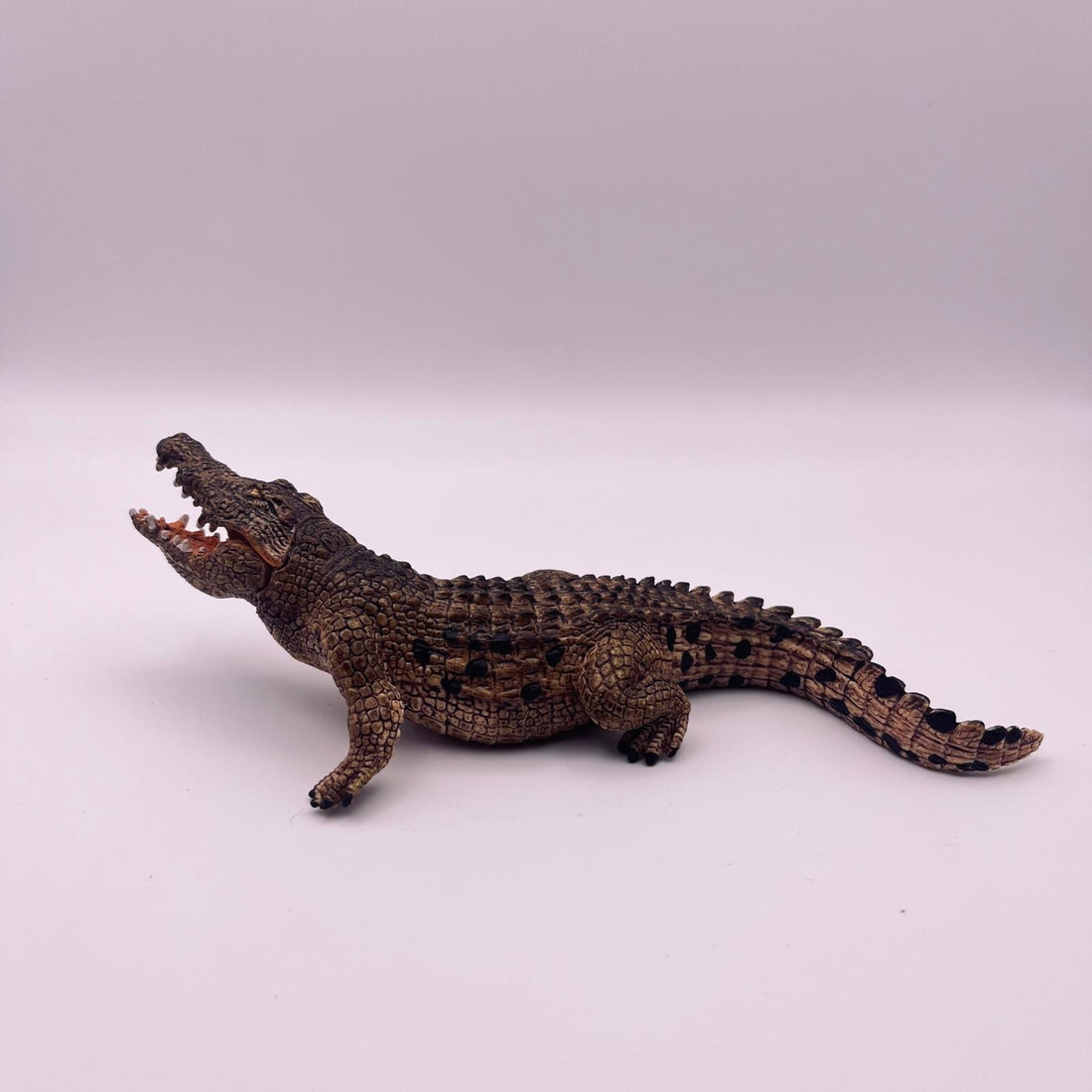 Krokodil (gebraucht)