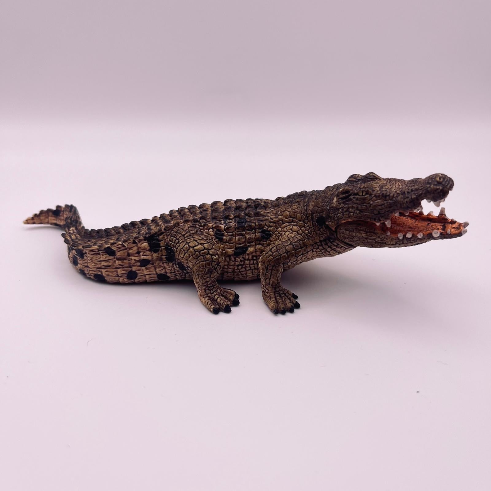 Krokodil (gebraucht)