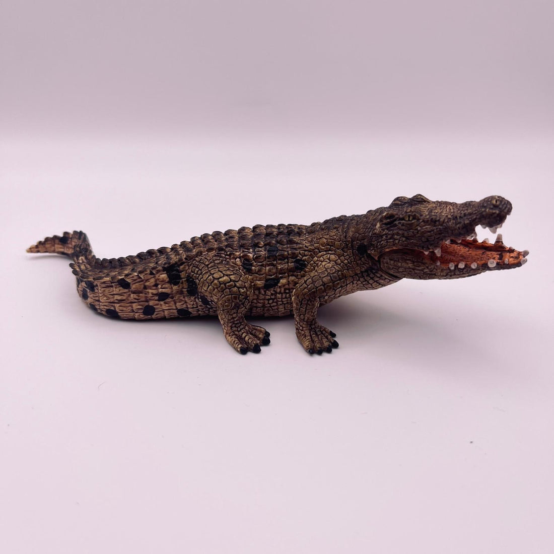 Krokodil (gebraucht)