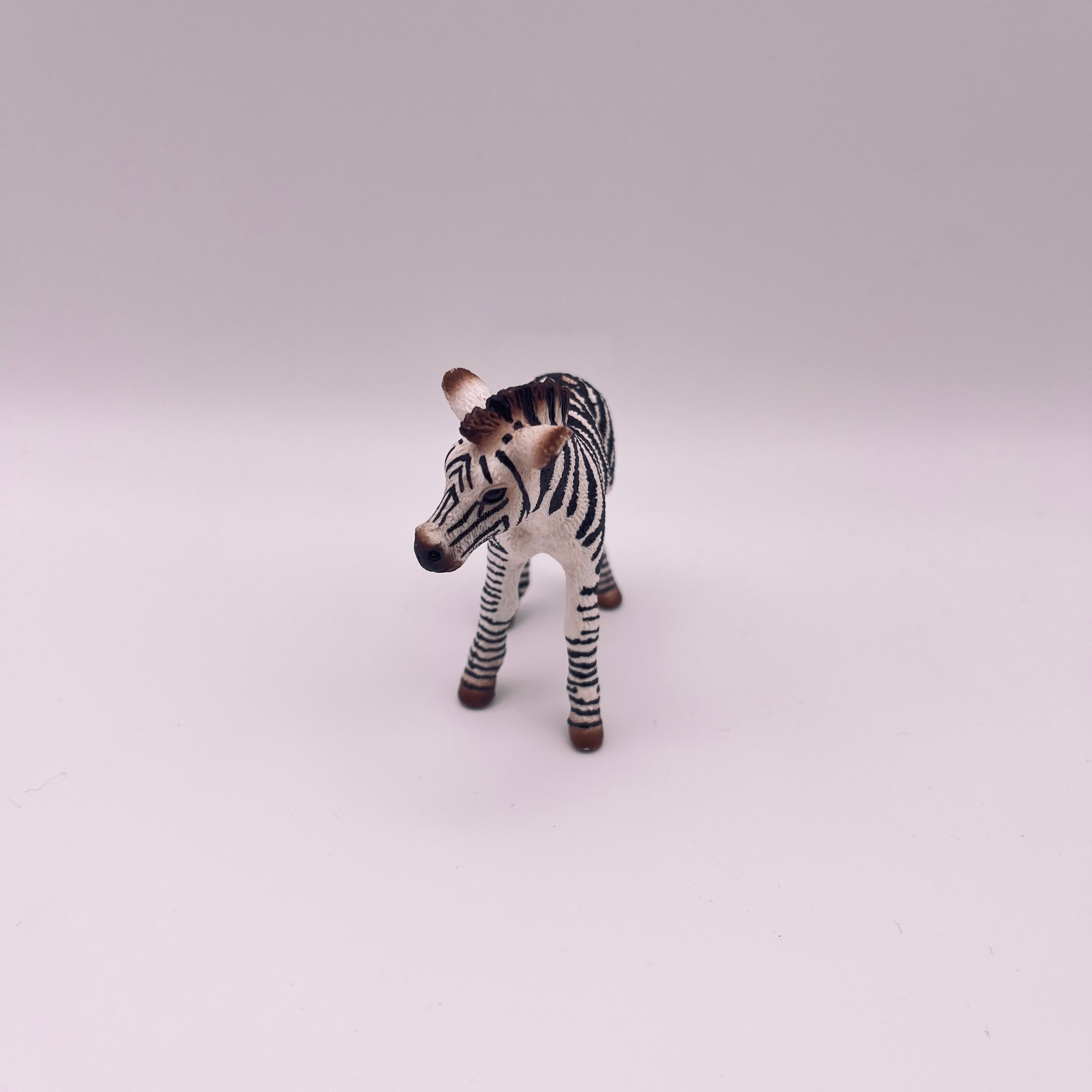 Zebra (gebraucht)