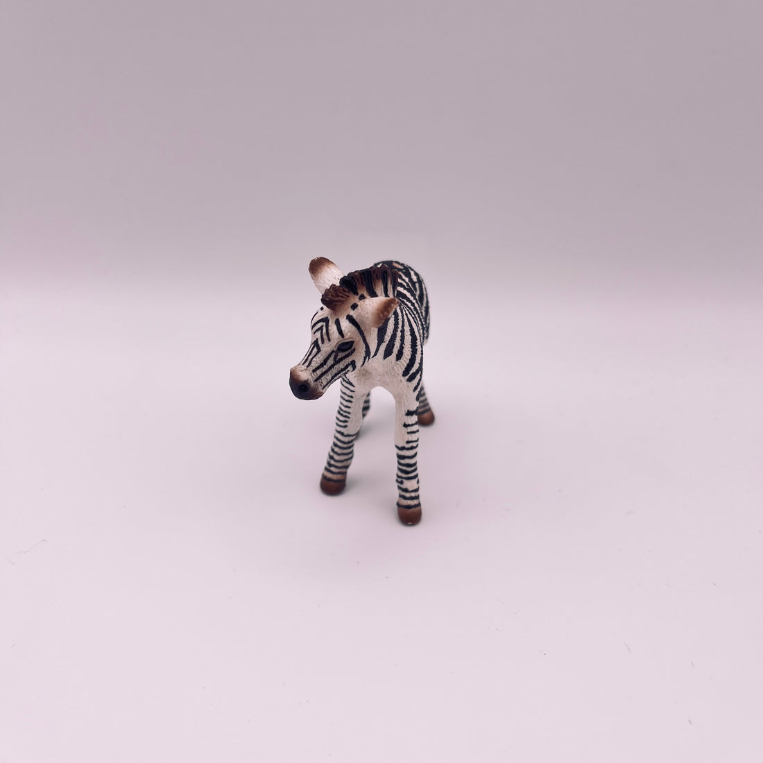 Zebra (gebraucht)