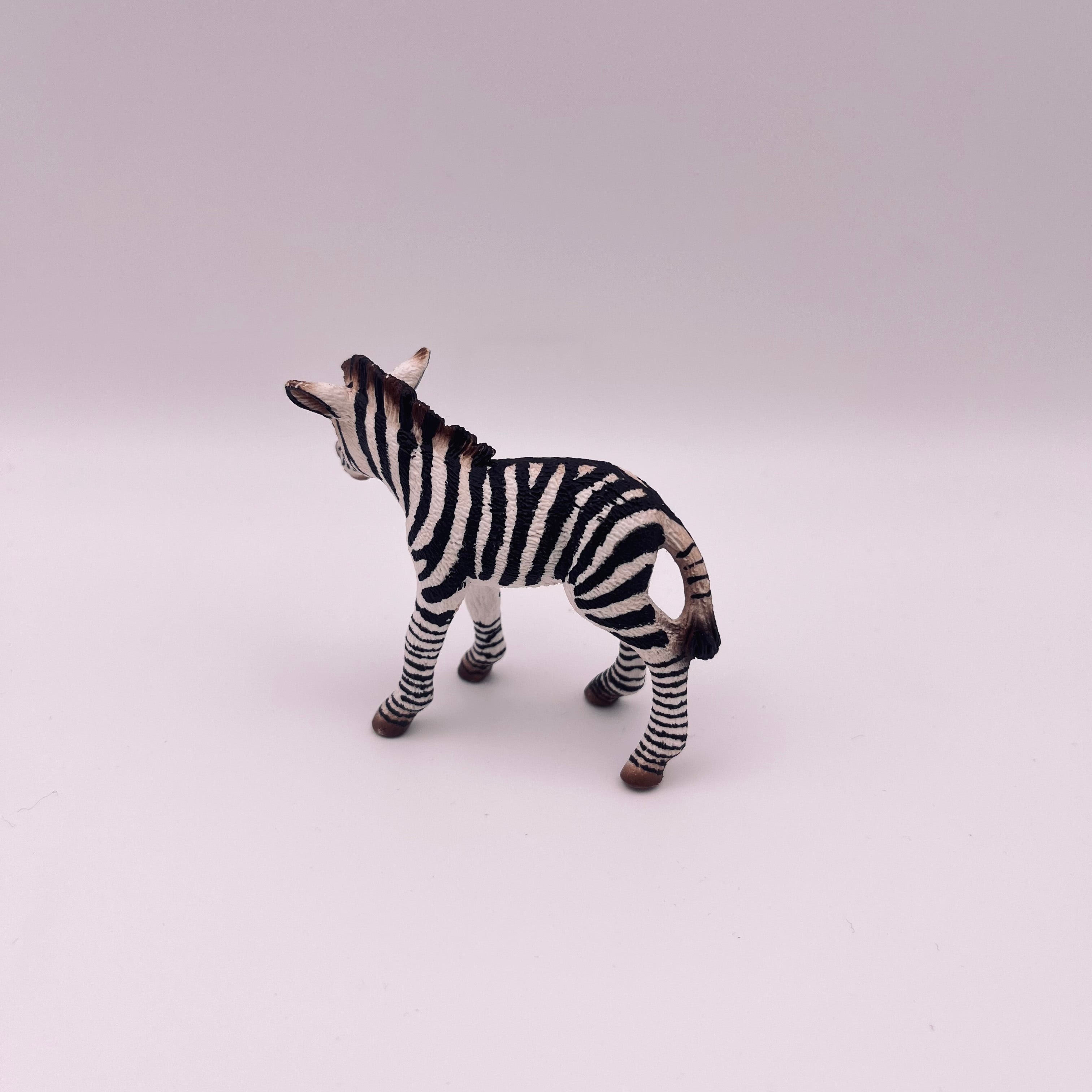 Zebra (gebraucht)