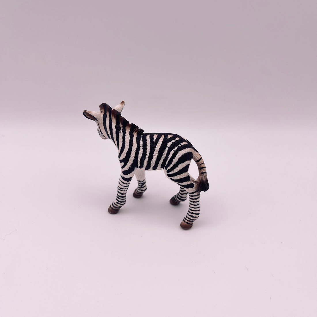 Zebra (gebraucht)