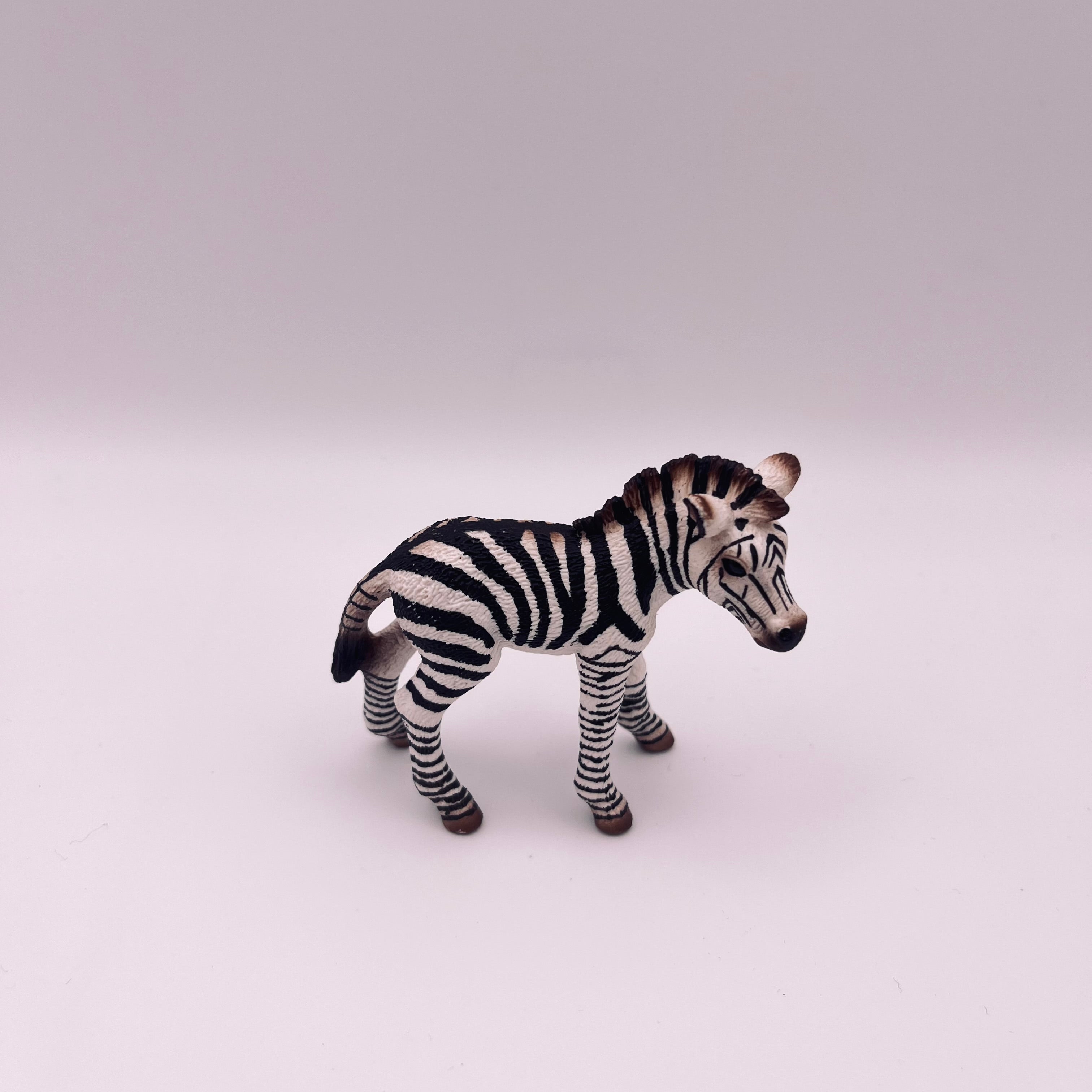 Zebra (gebraucht)