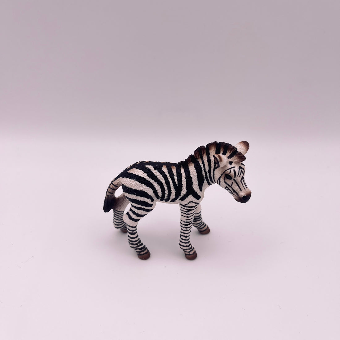 Zebra (gebraucht)
