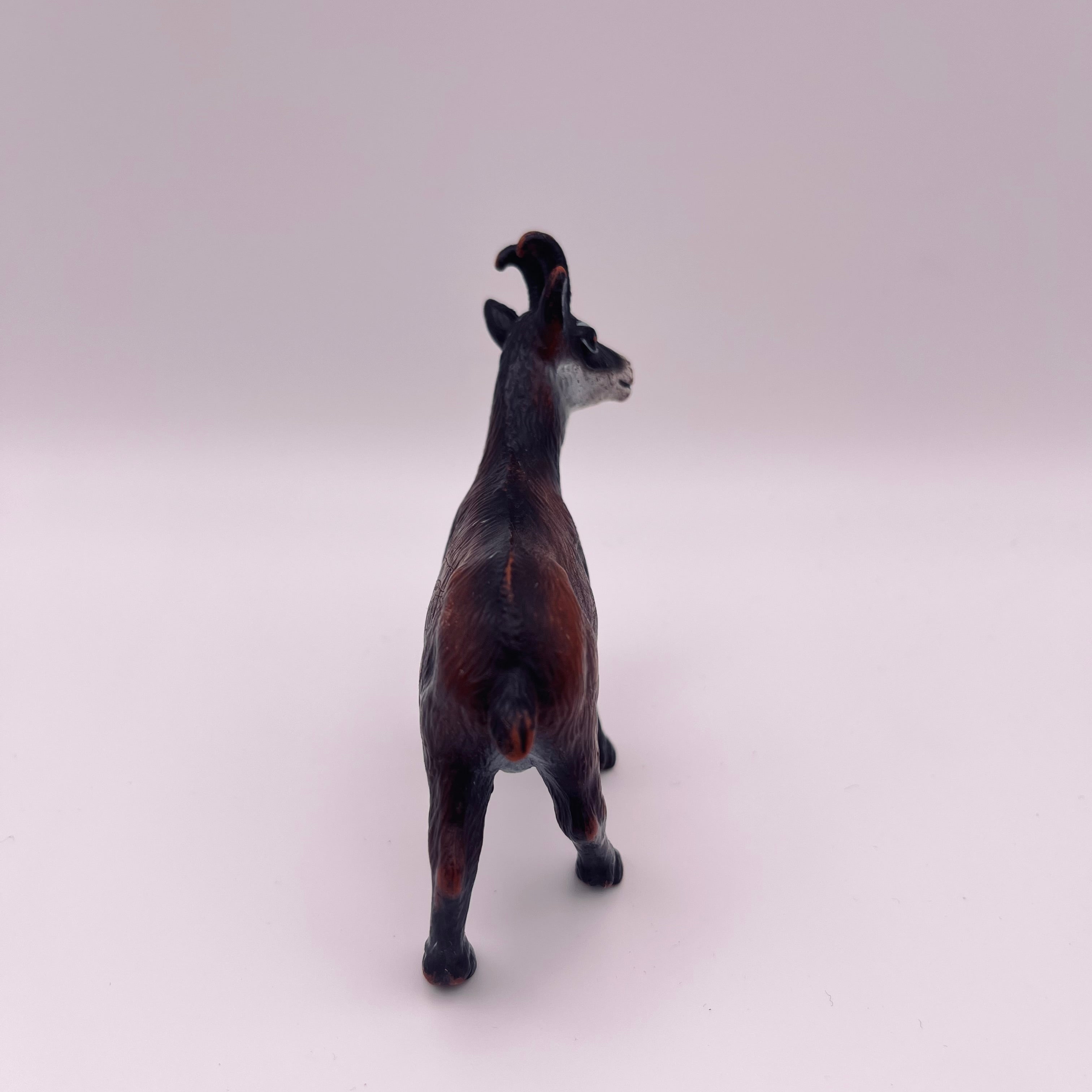 Steinbock (gebraucht)