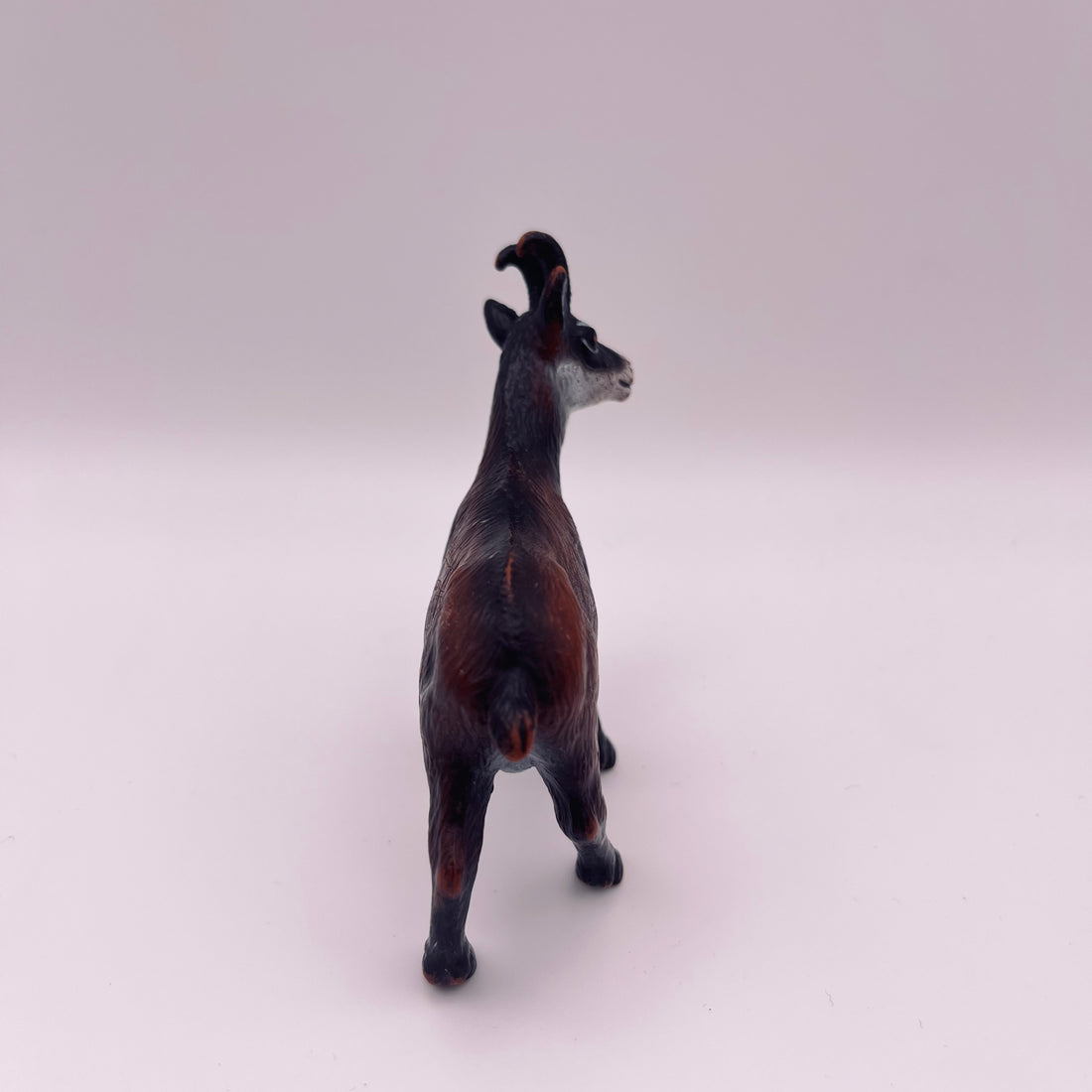 Steinbock (gebraucht)