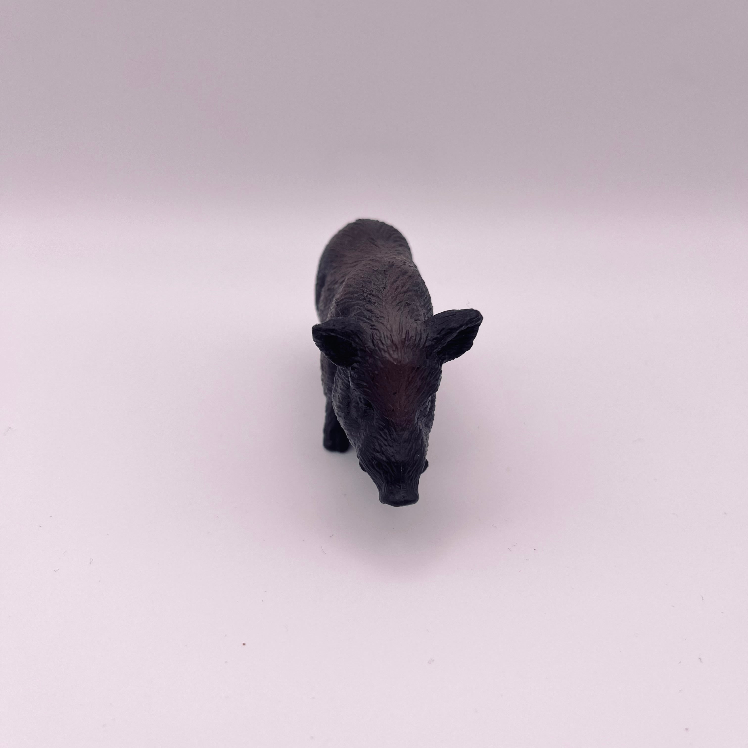 Wildschwein (gebraucht)