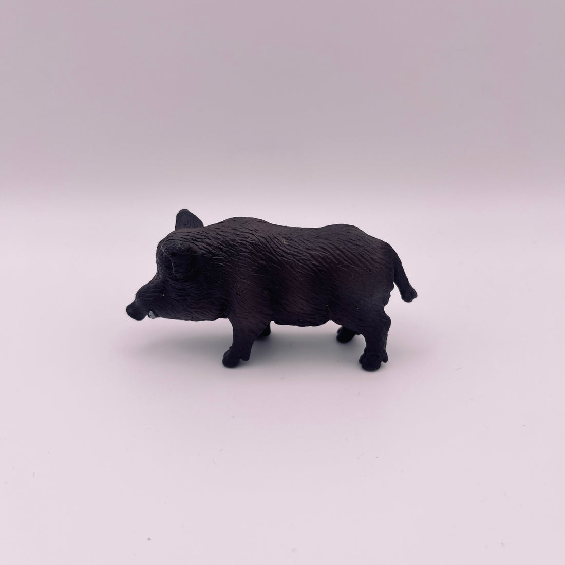 Wildschwein (gebraucht)