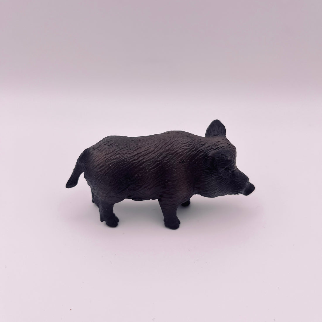 Wildschwein (gebraucht)