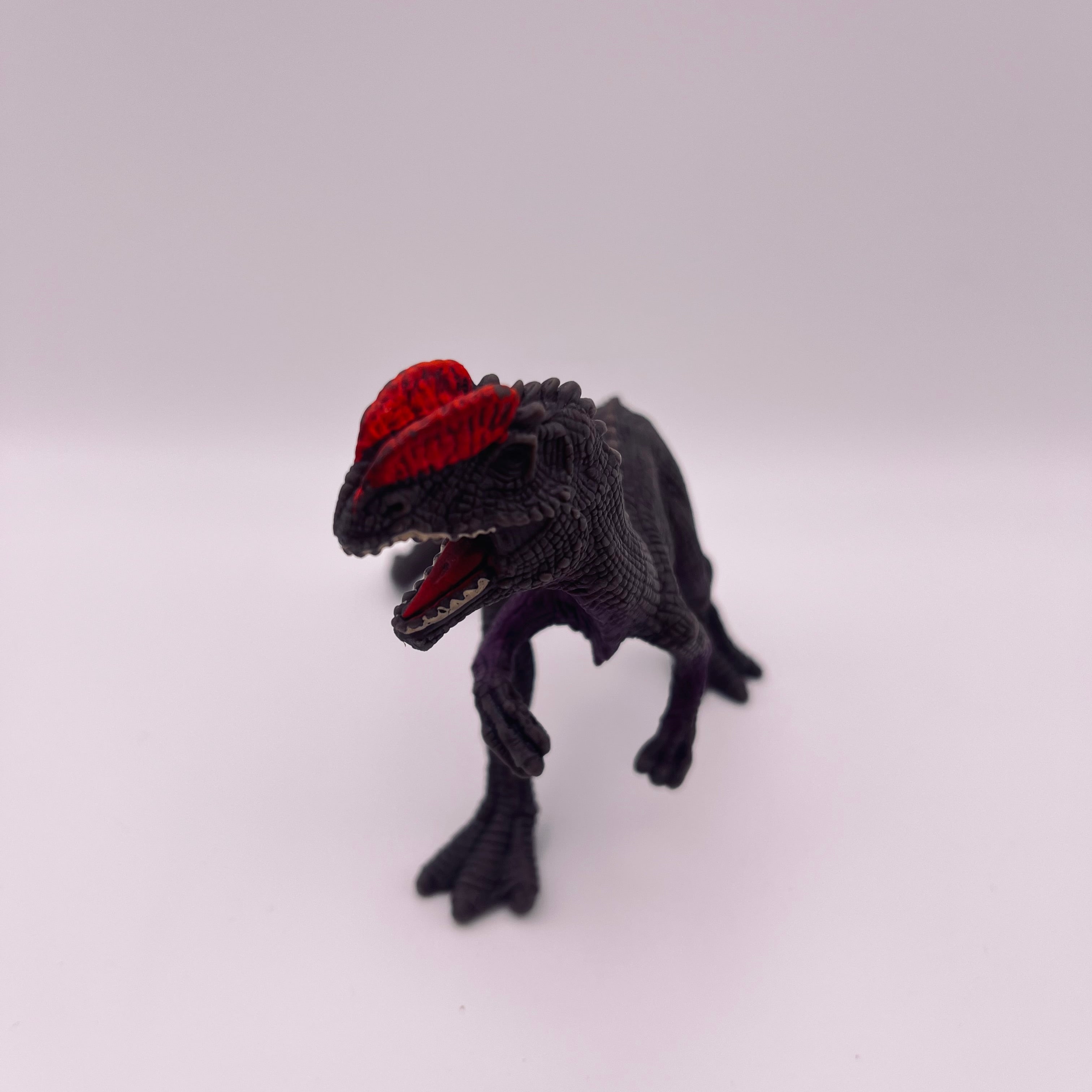 Dinosaurier (gebraucht)