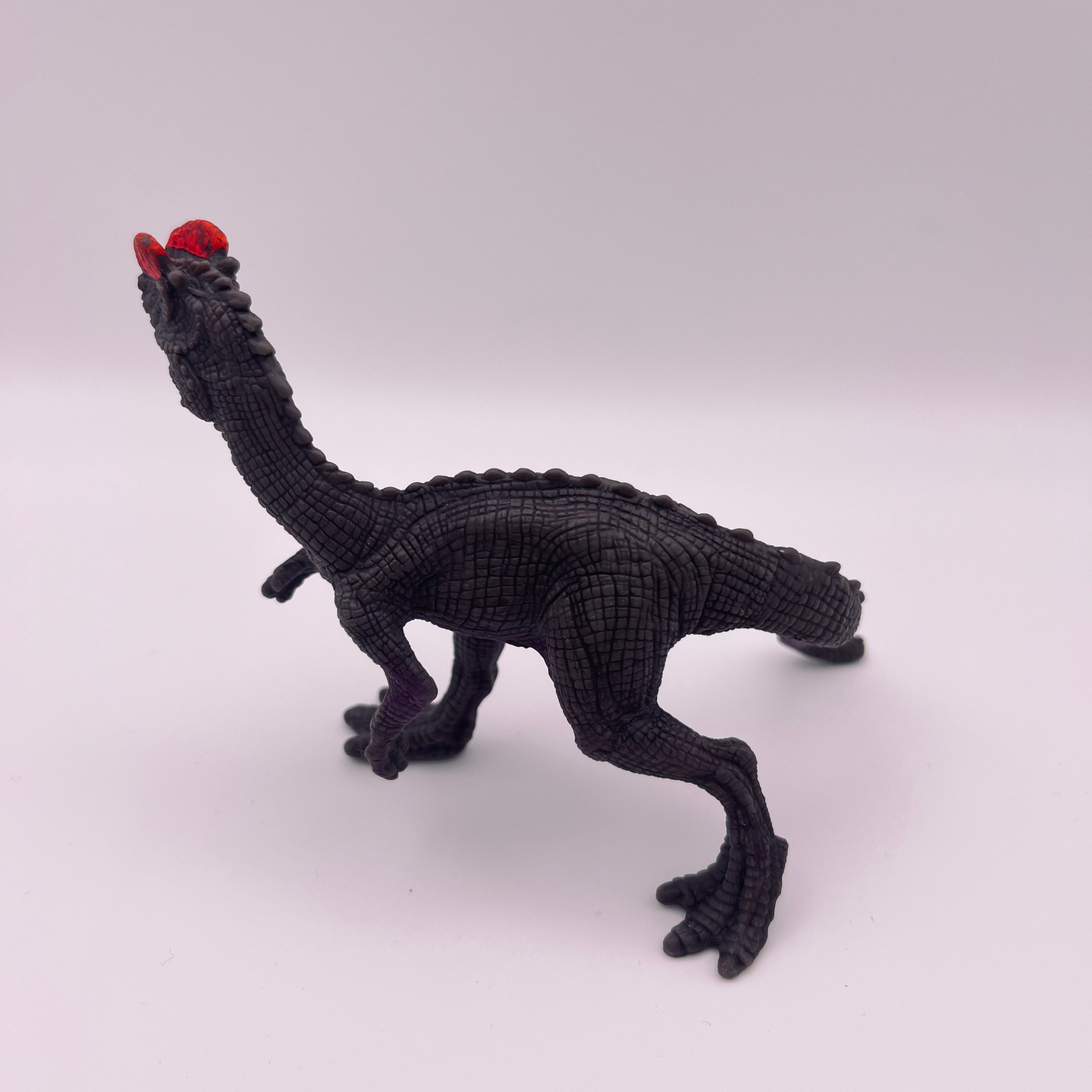 Dinosaurier (gebraucht)