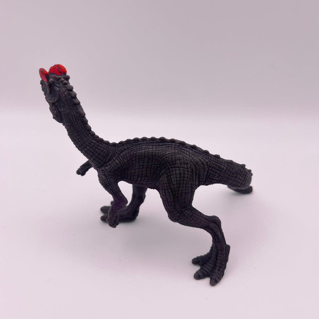 Dinosaurier (gebraucht)