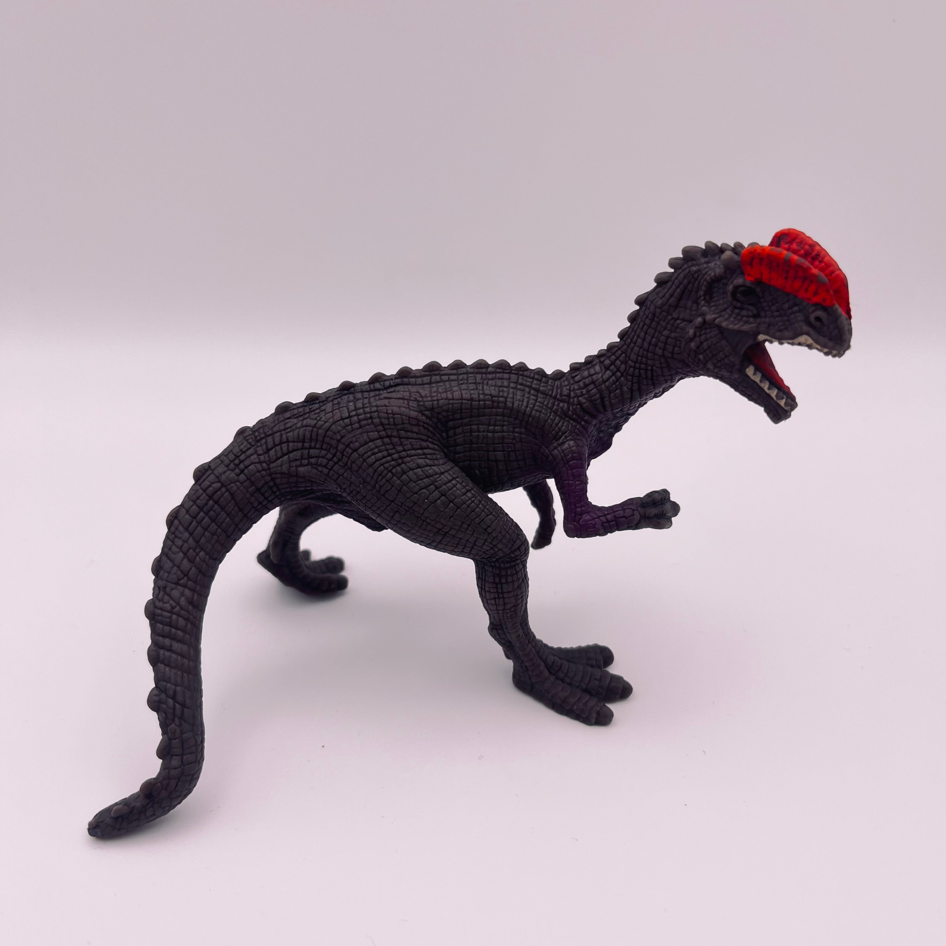 Dinosaurier (gebraucht)