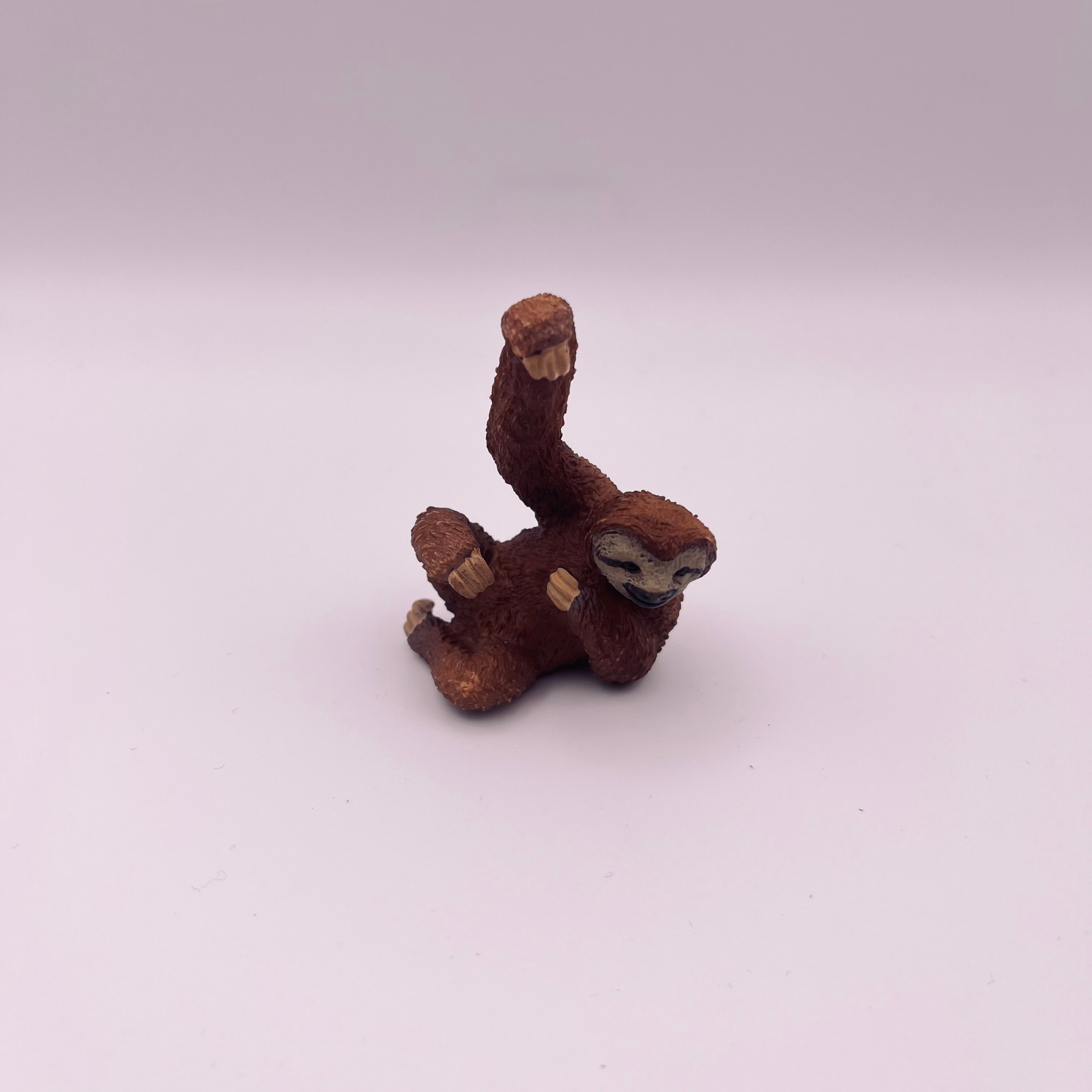 Faultier (gebraucht)