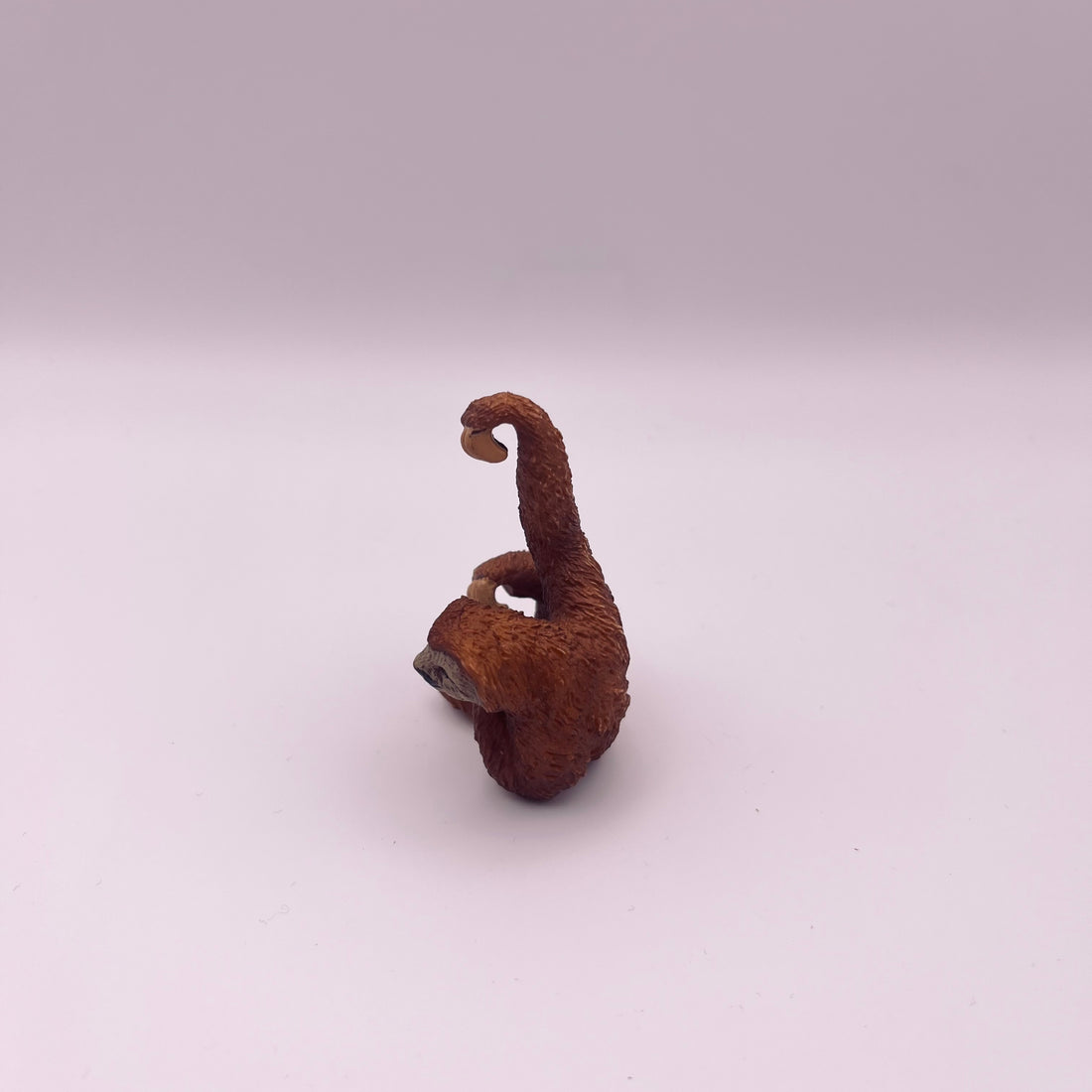 Faultier (gebraucht)