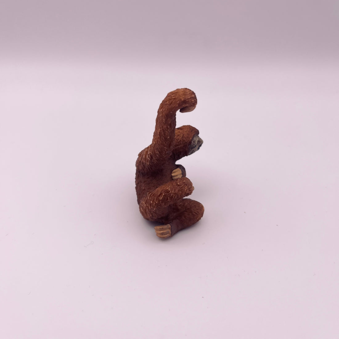 Faultier (gebraucht)