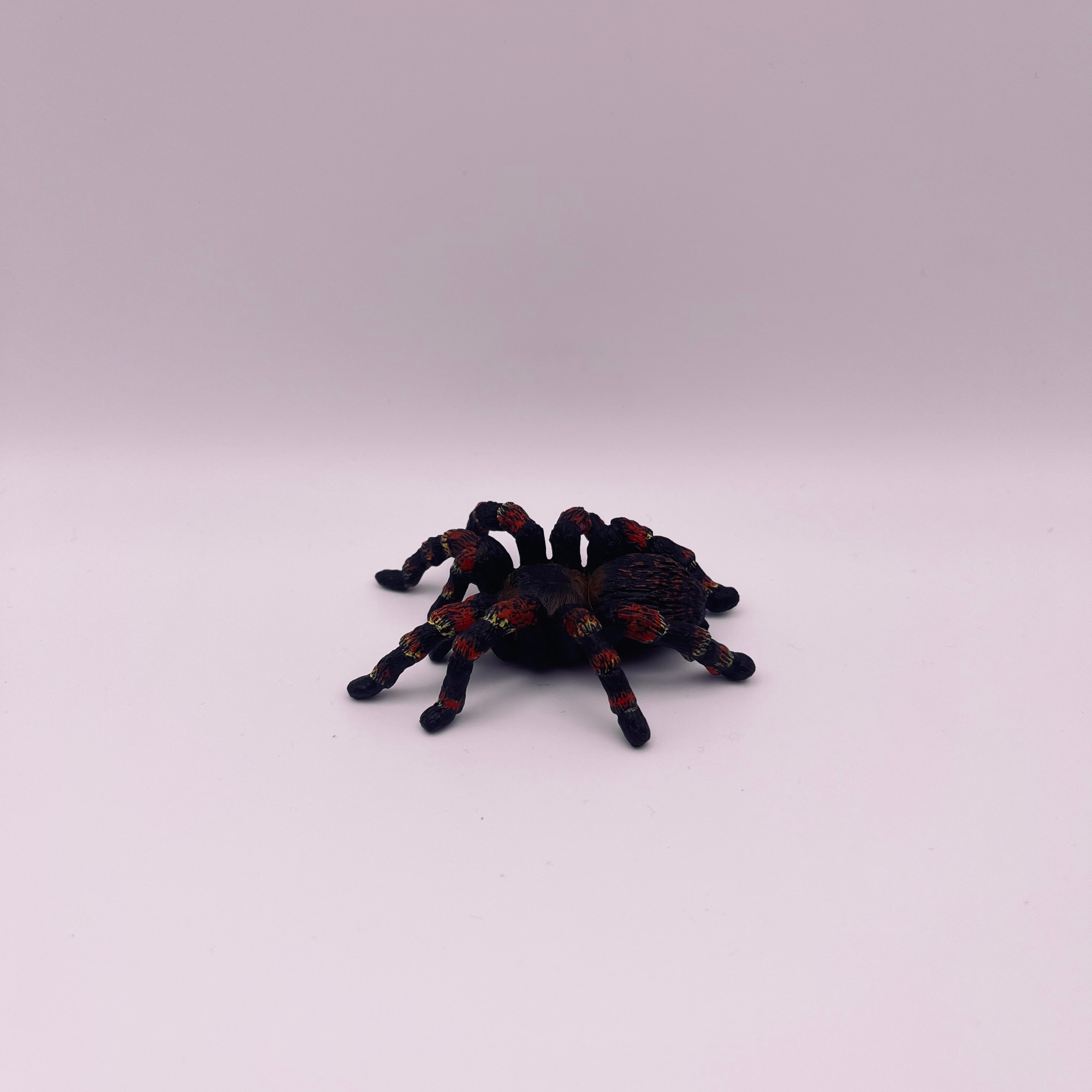 Spinne (gebraucht)
