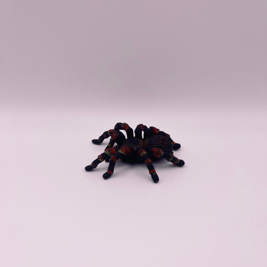 Spinne (gebraucht)