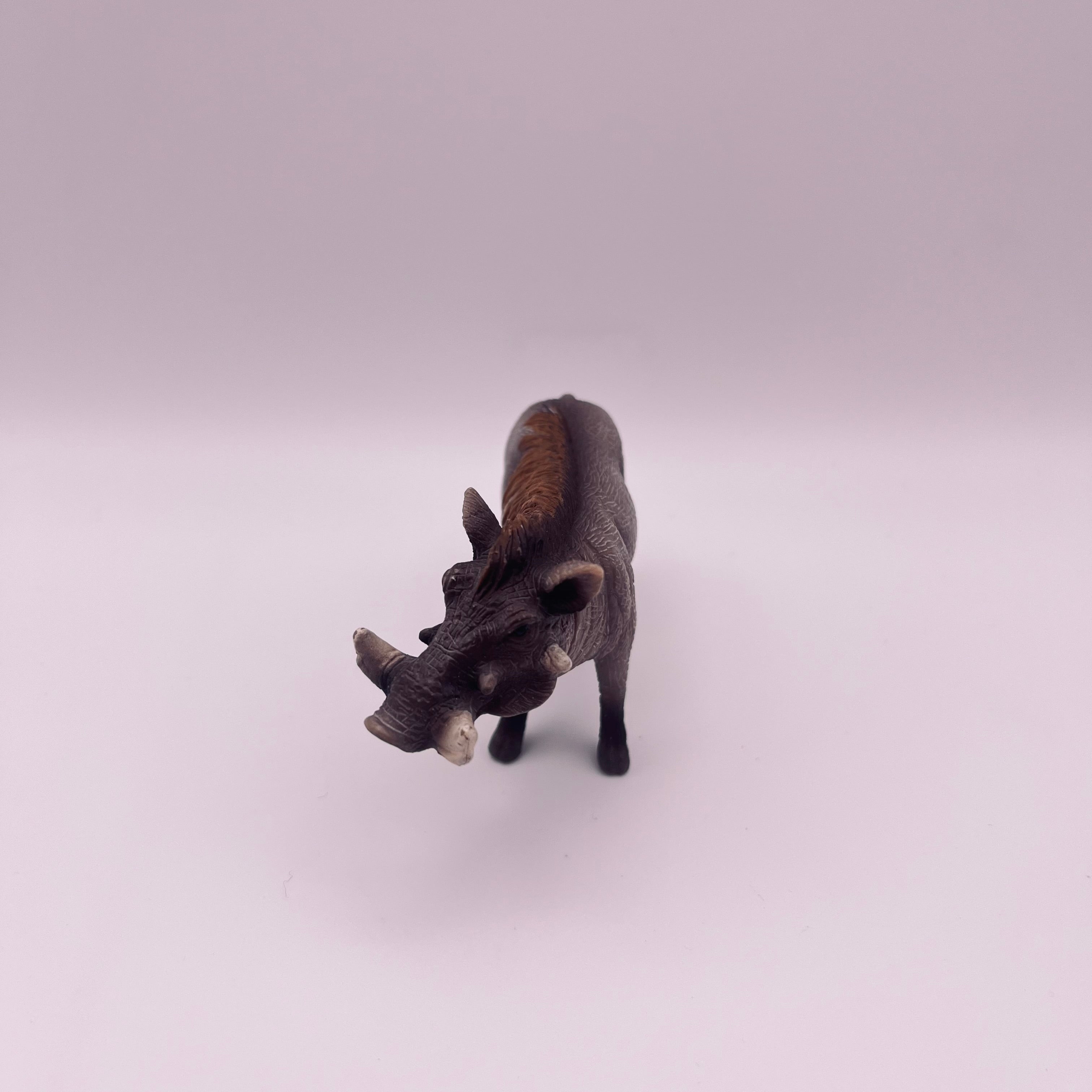 Warzenschwein (gebraucht)