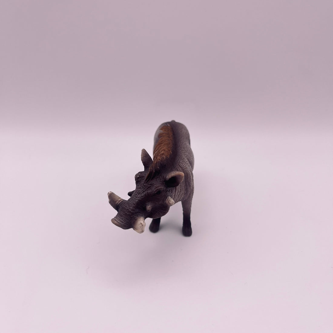 Warzenschwein (gebraucht)