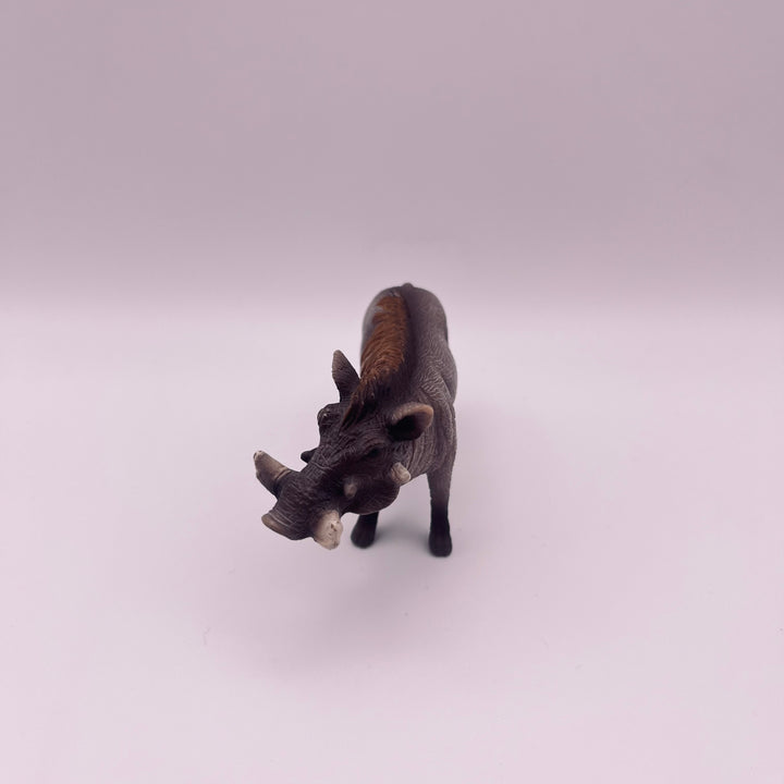 Warzenschwein (gebraucht)