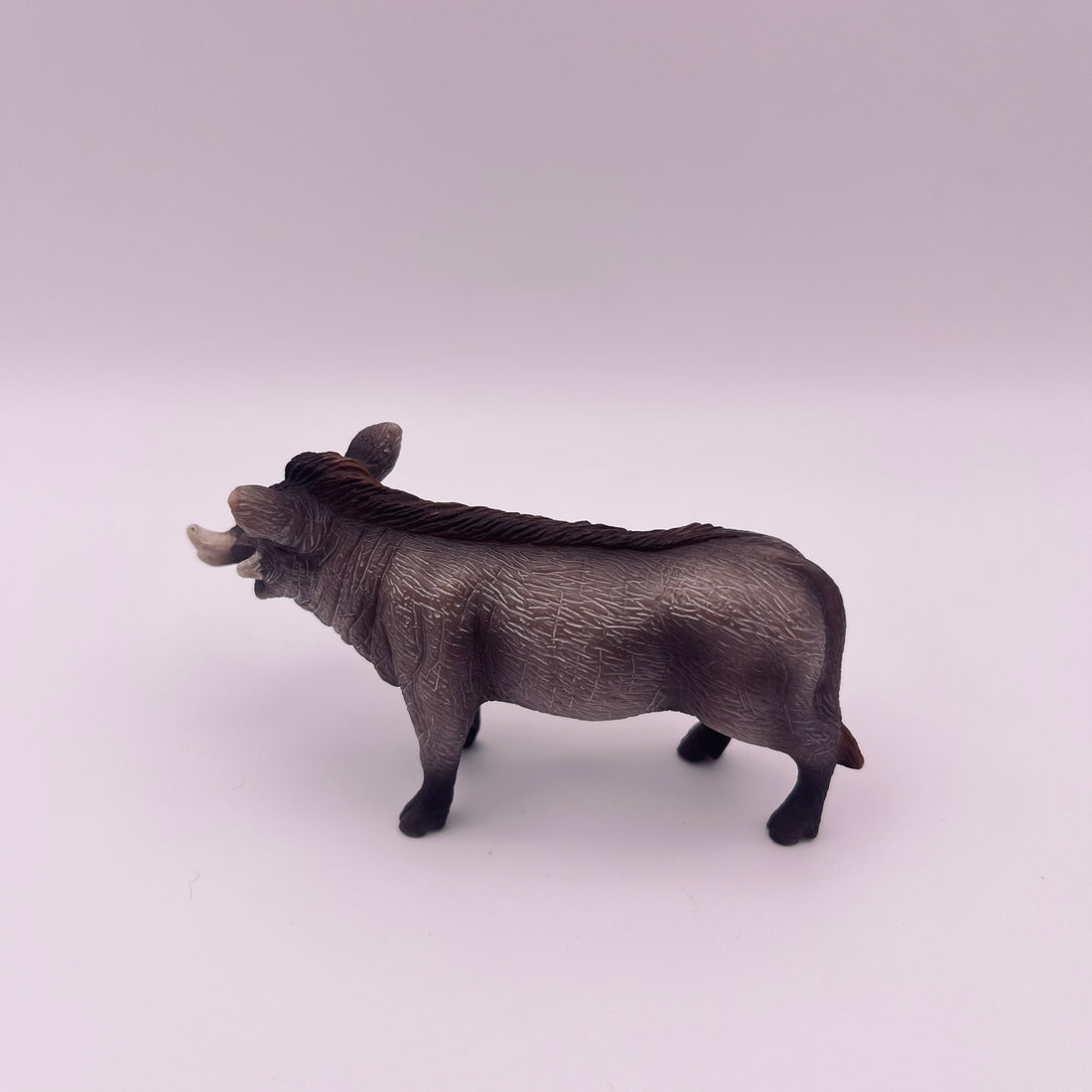 Warzenschwein (gebraucht)