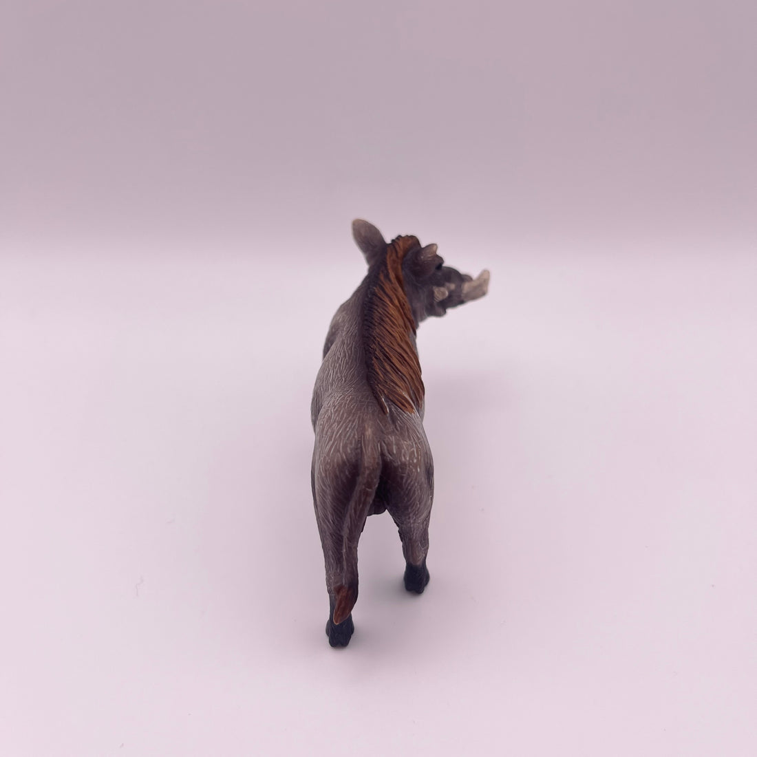 Warzenschwein (gebraucht)