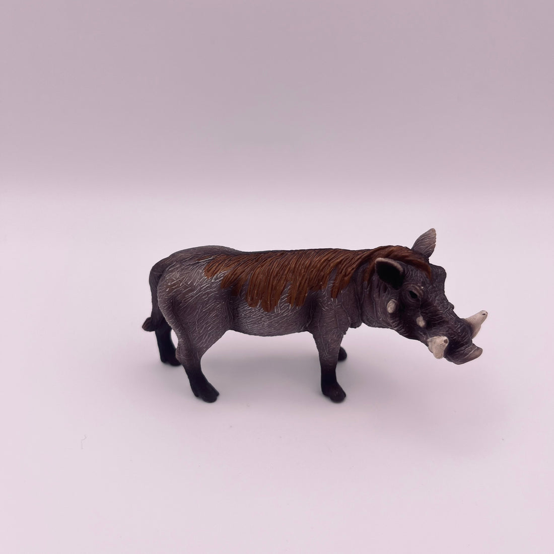 Warzenschwein (gebraucht)