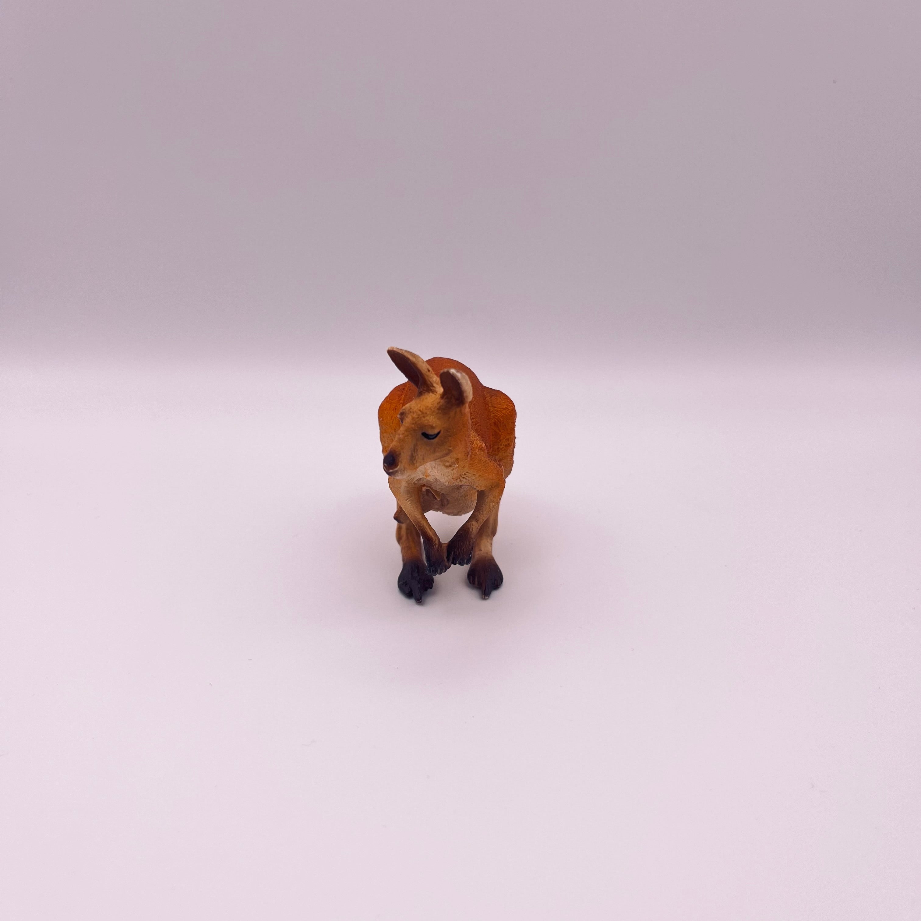 Känguru (gebraucht)