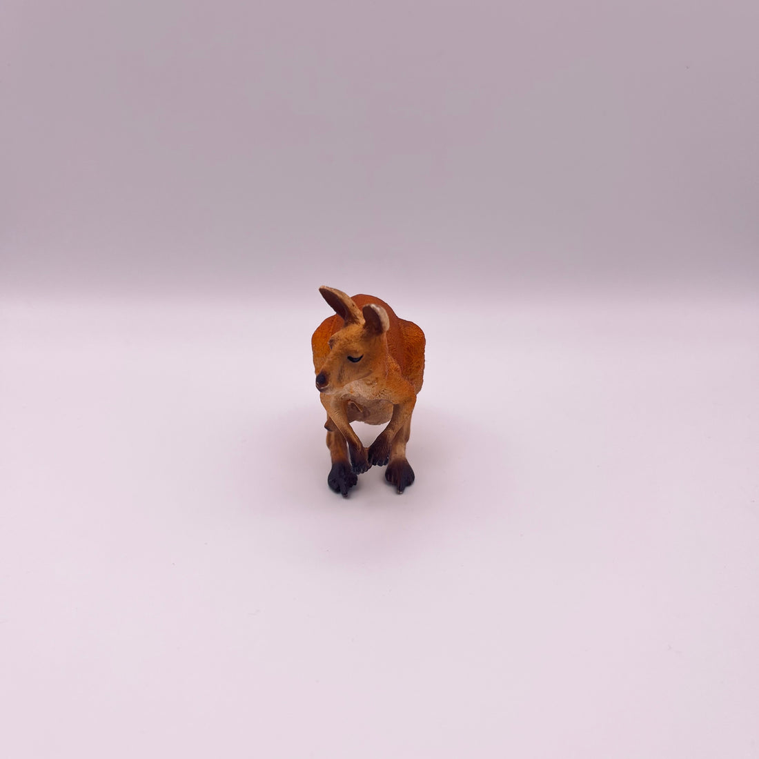 Känguru (gebraucht)