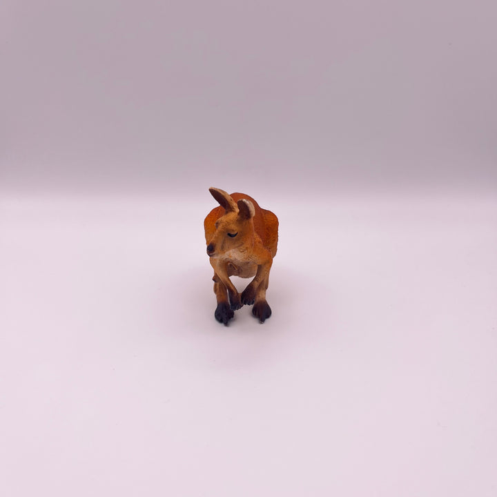 Känguru (gebraucht)