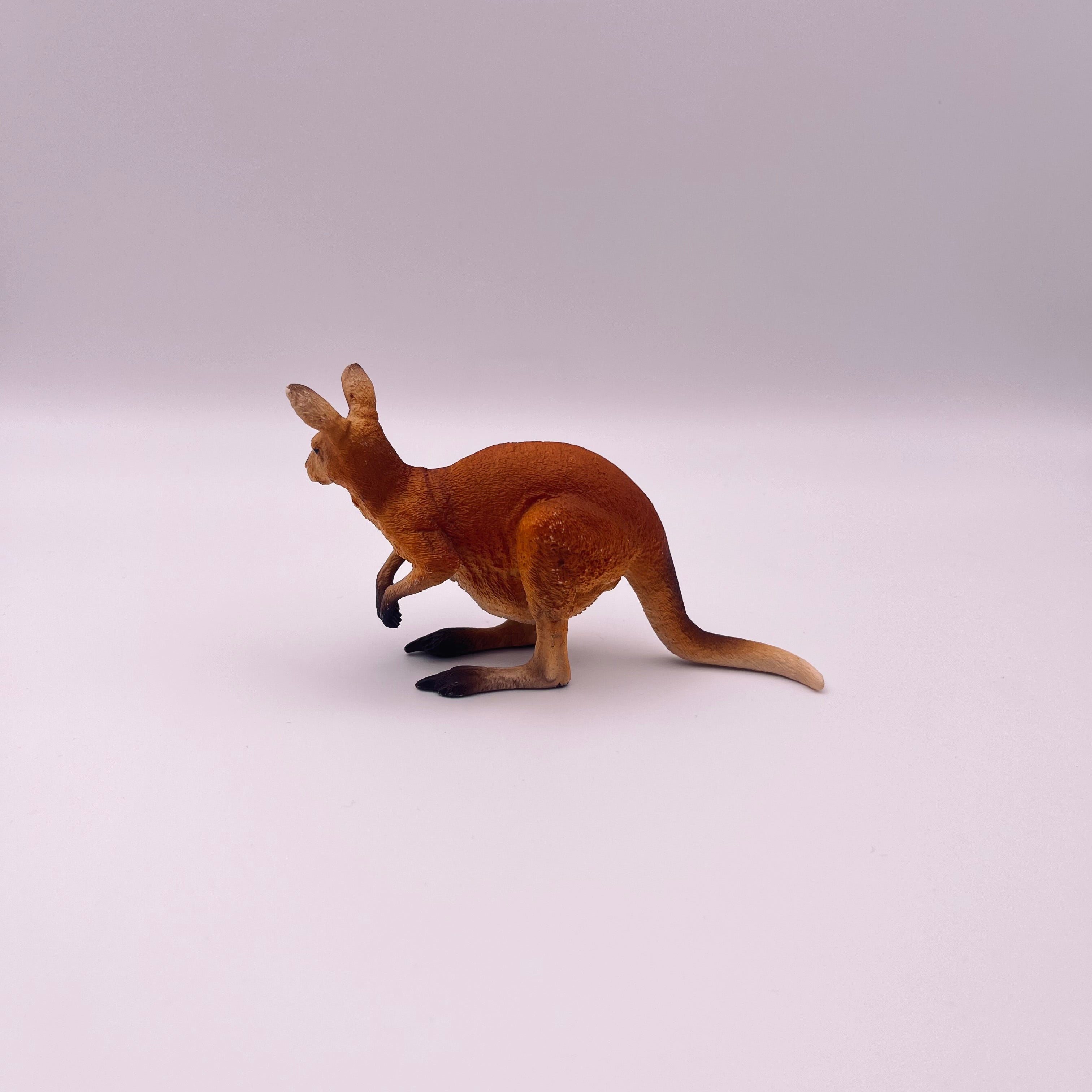 Känguru (gebraucht)