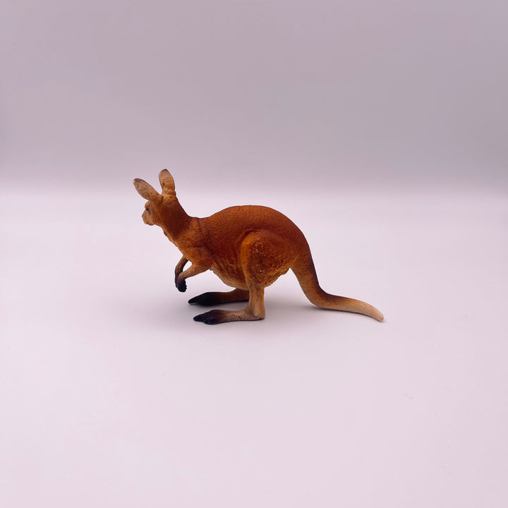 Känguru (gebraucht)