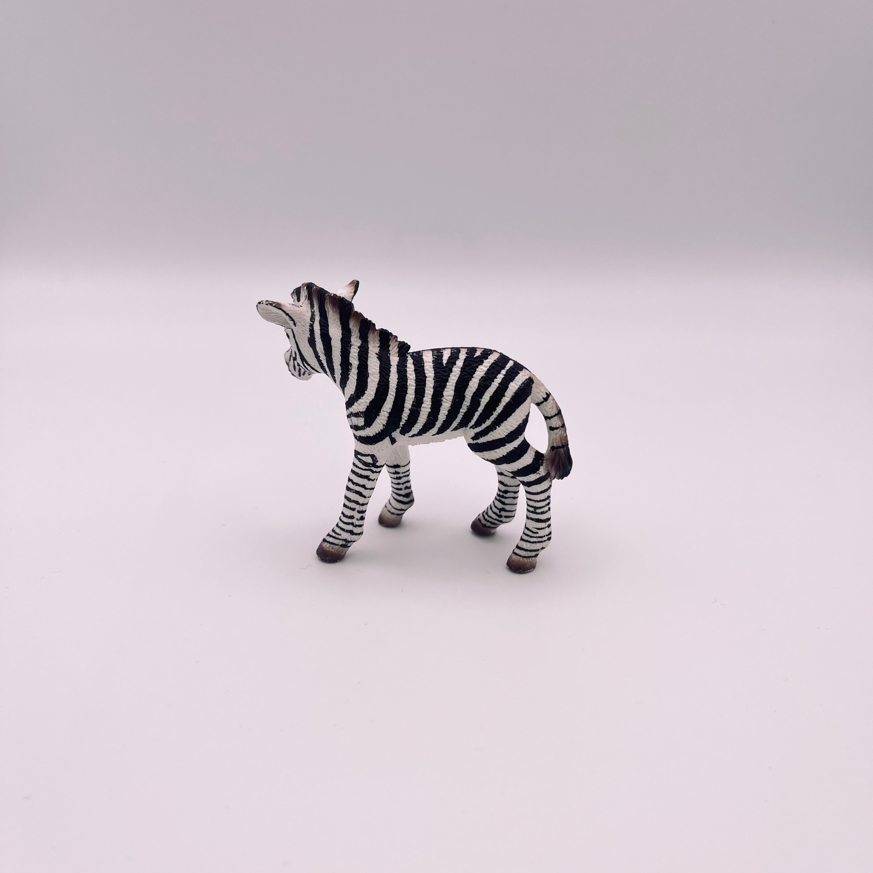 Zebra (gebraucht)