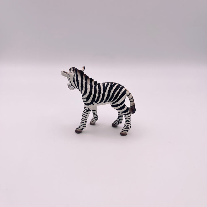 Zebra (gebraucht)
