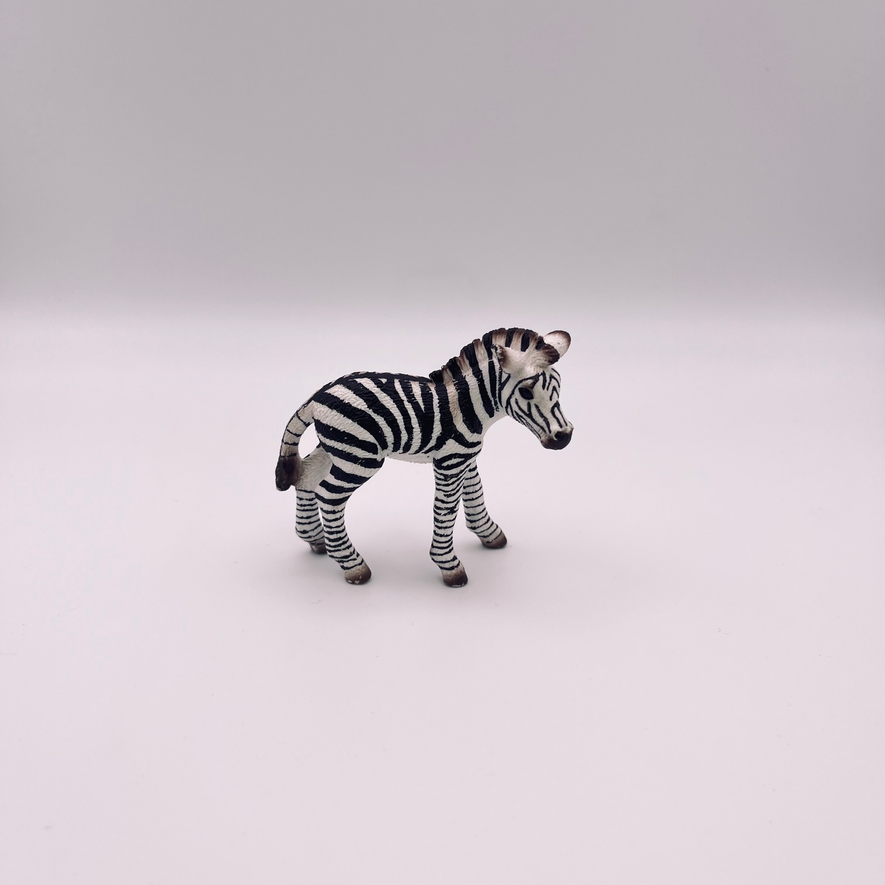 Zebra (gebraucht)