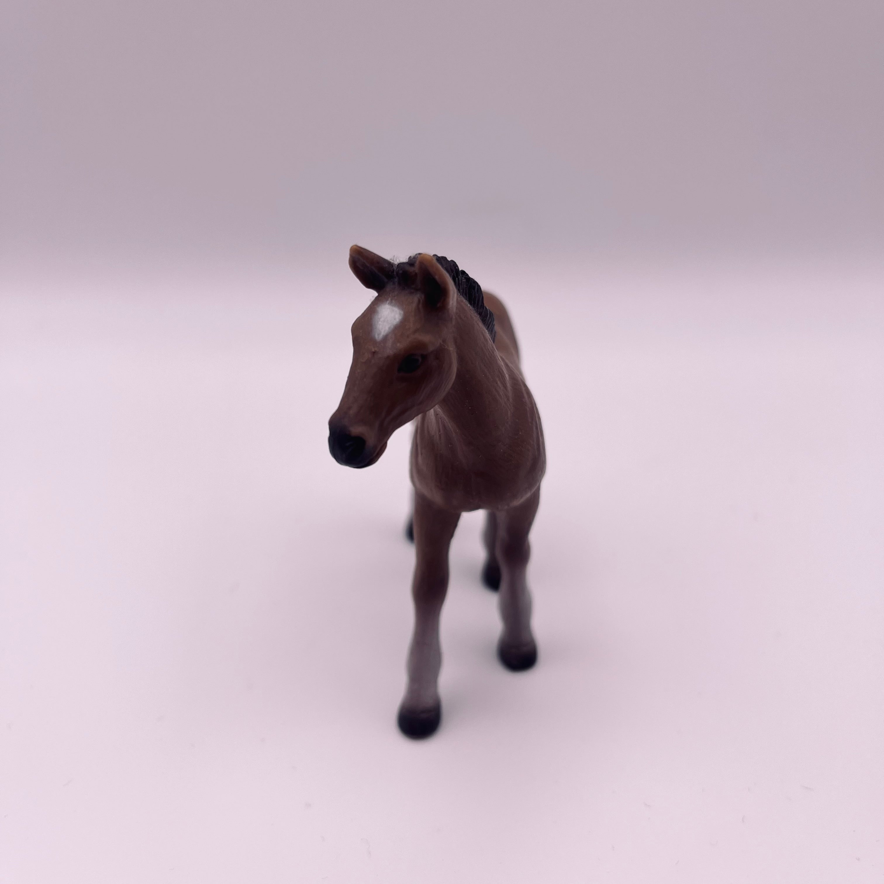 Pferd (gebraucht)