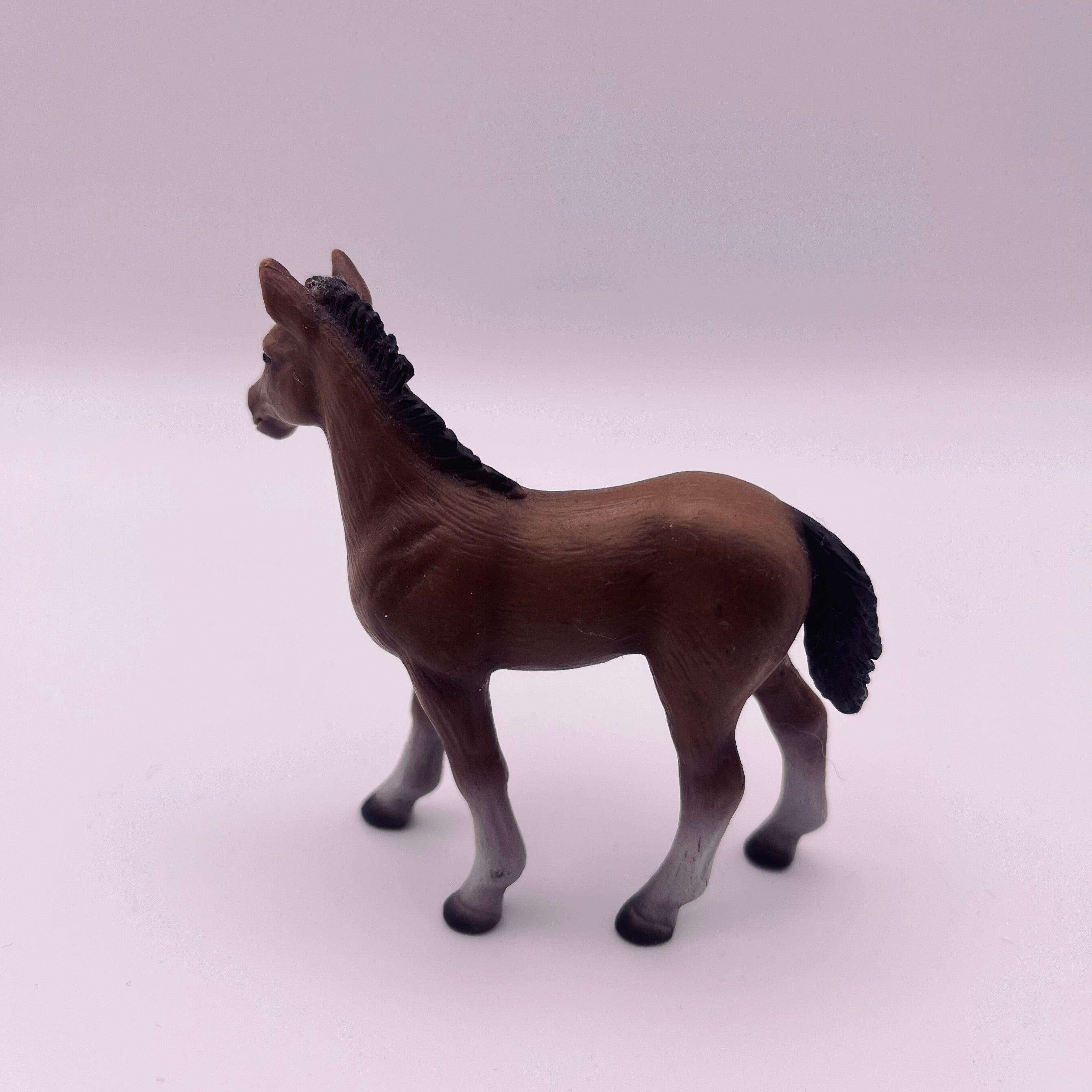 Pferd (gebraucht)