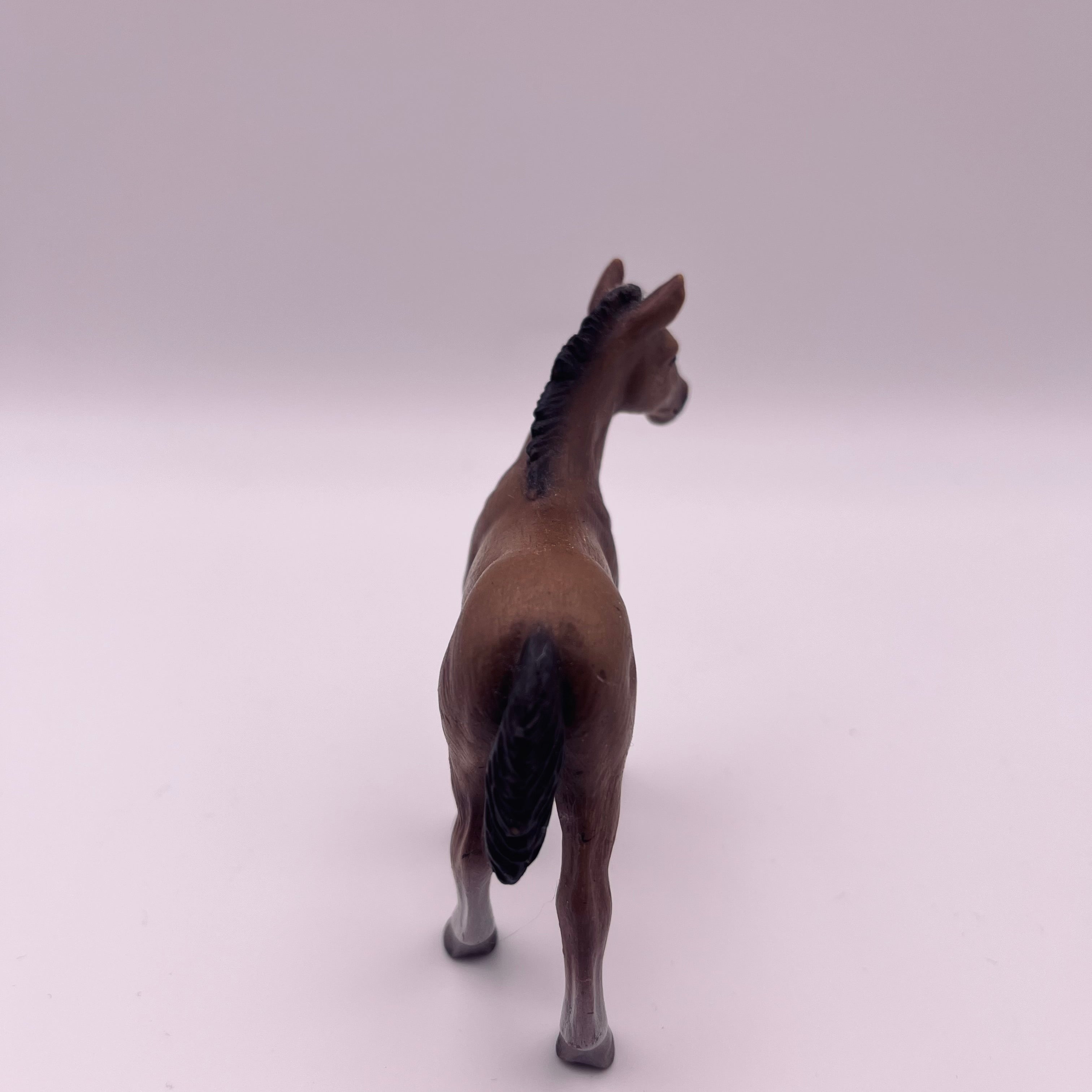 Pferd (gebraucht)