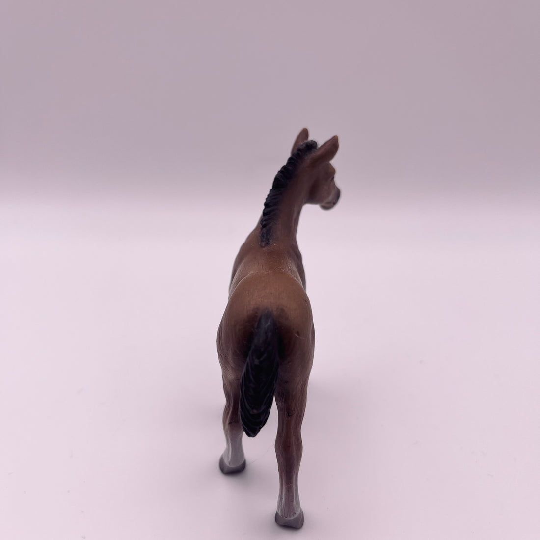 Pferd (gebraucht)