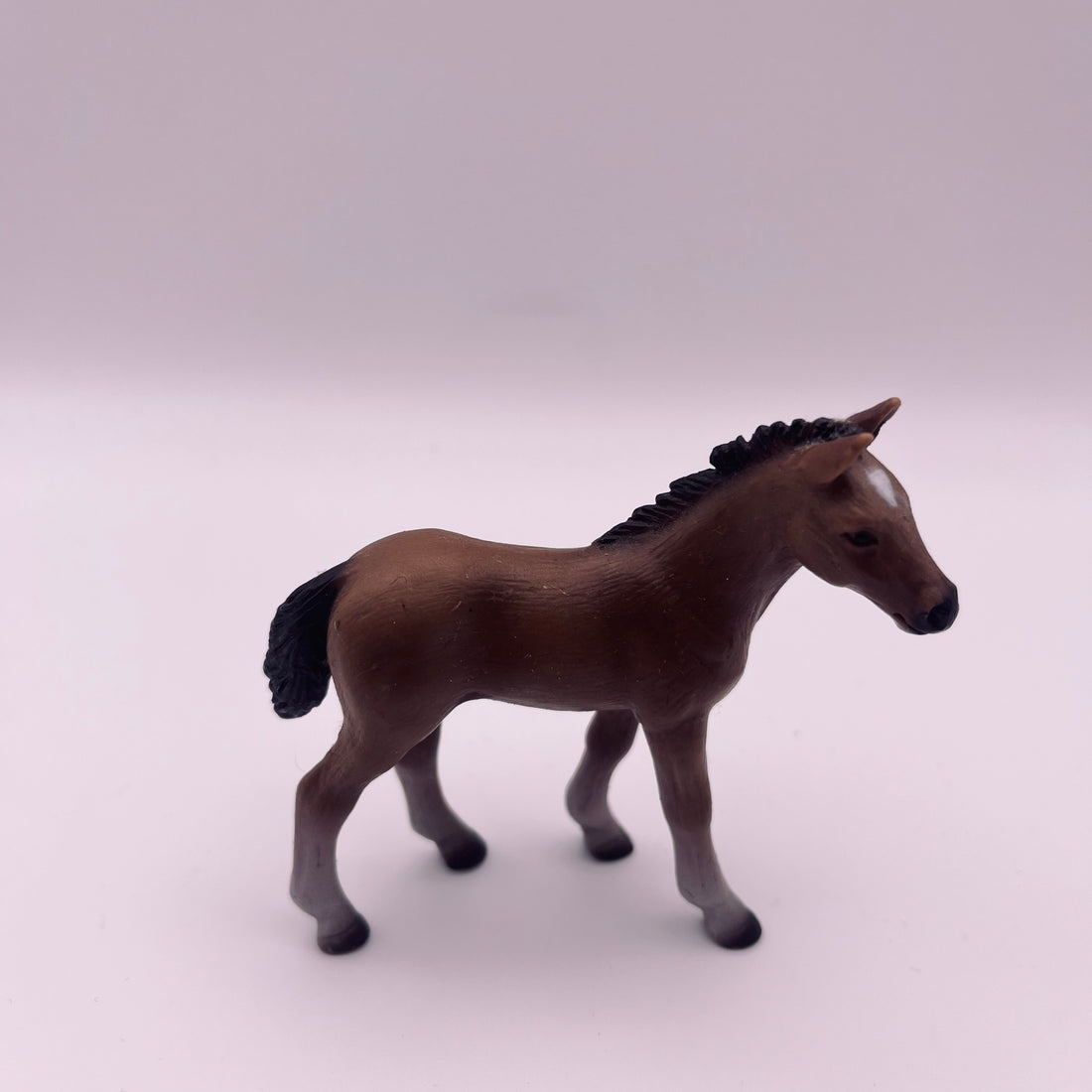 Pferd (gebraucht)