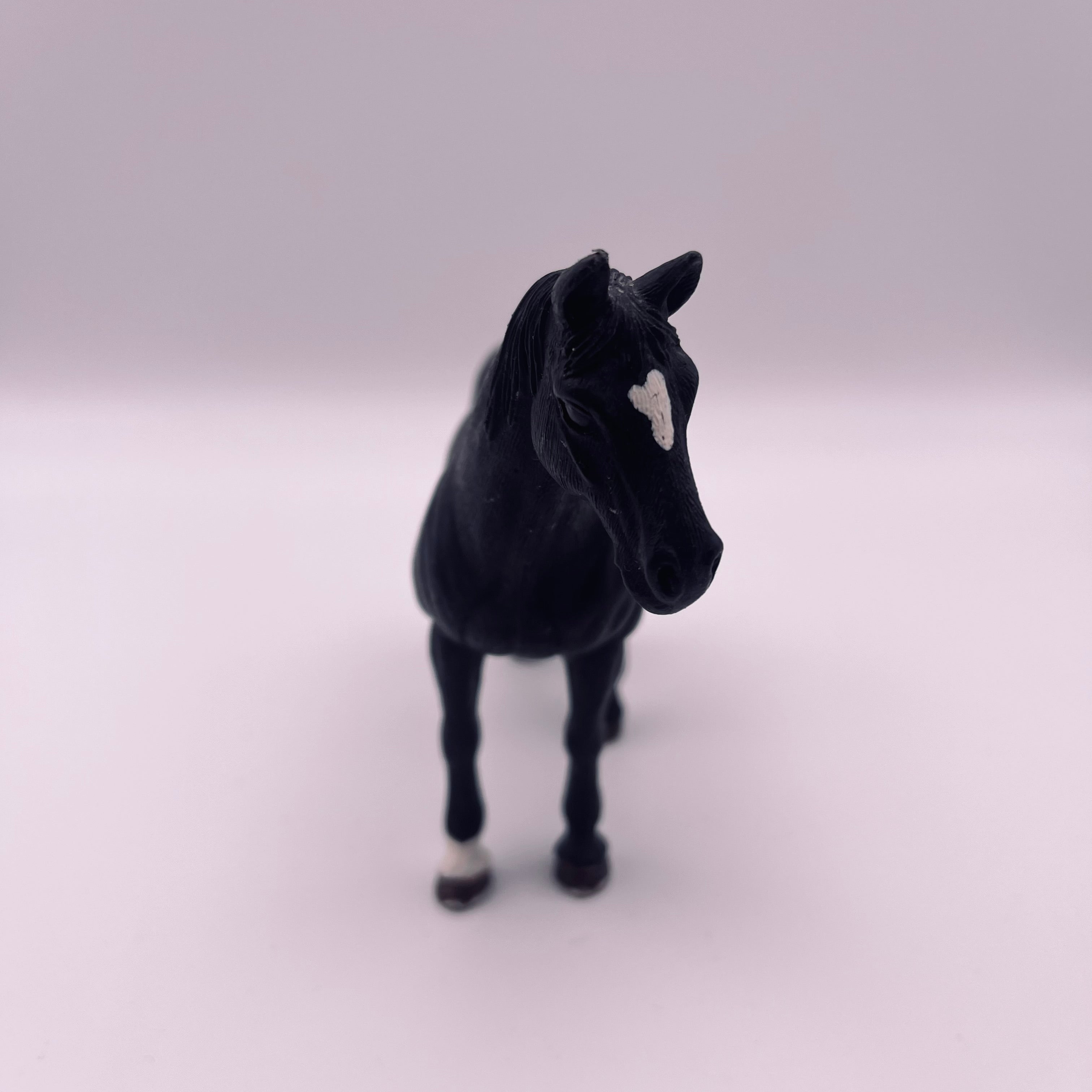Pferd (gebraucht)