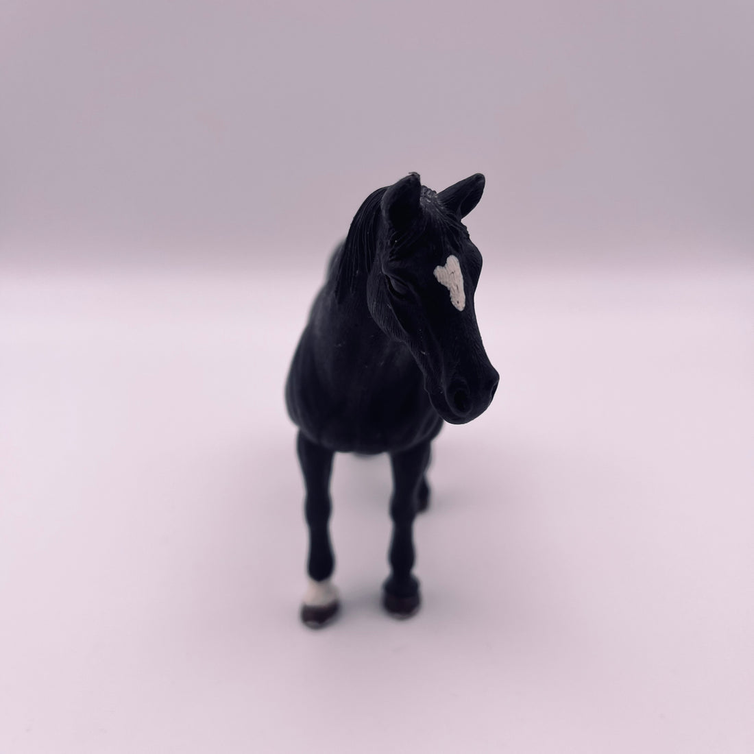 Pferd (gebraucht)