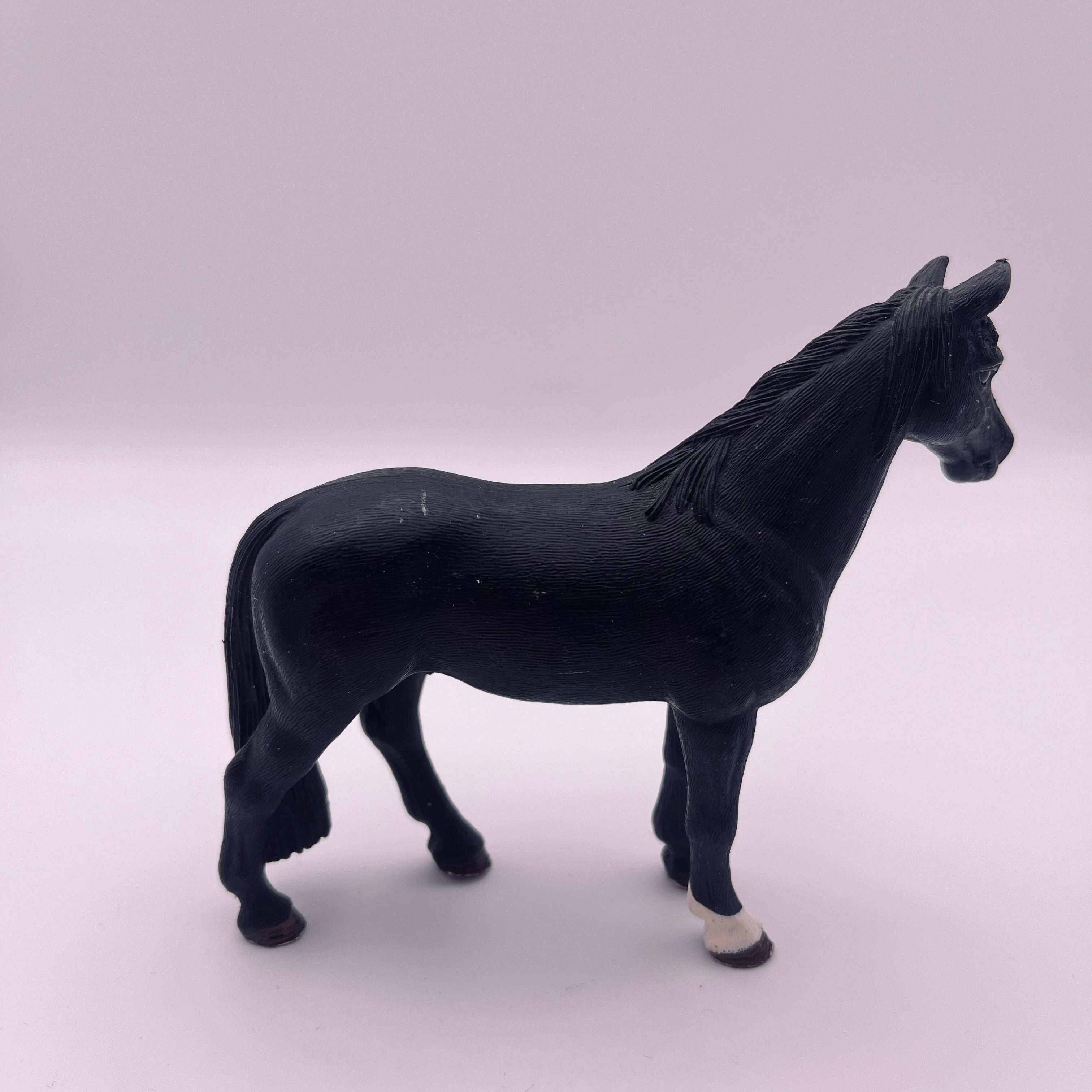Pferd (gebraucht)