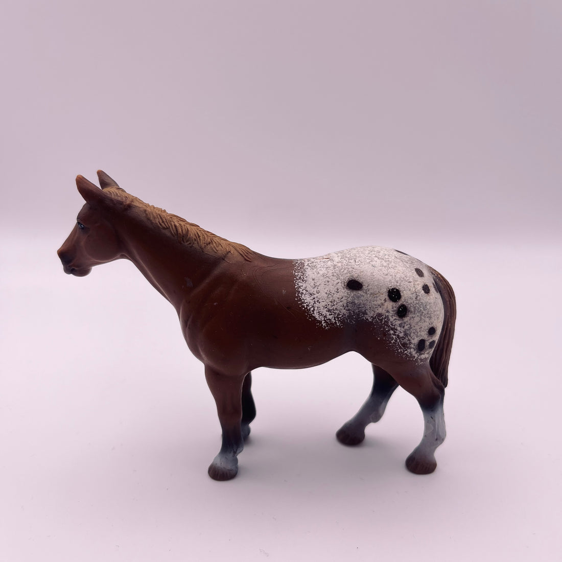 Pferd (gebraucht)