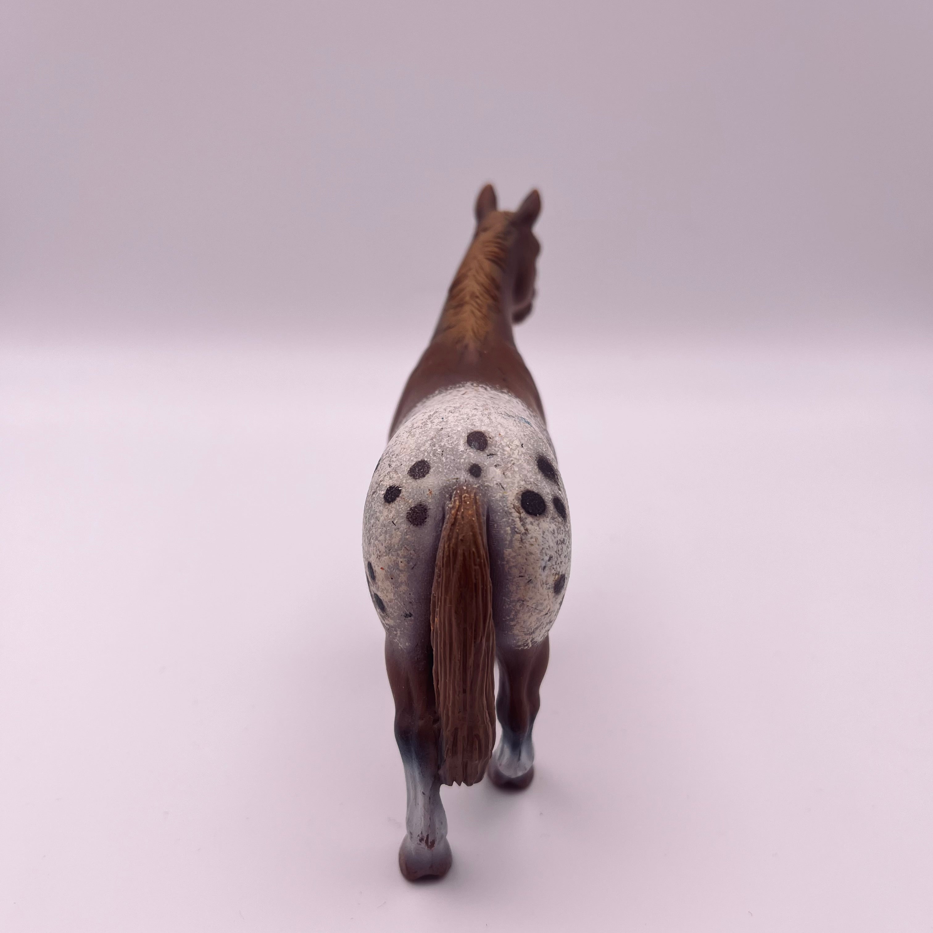 Pferd (gebraucht)