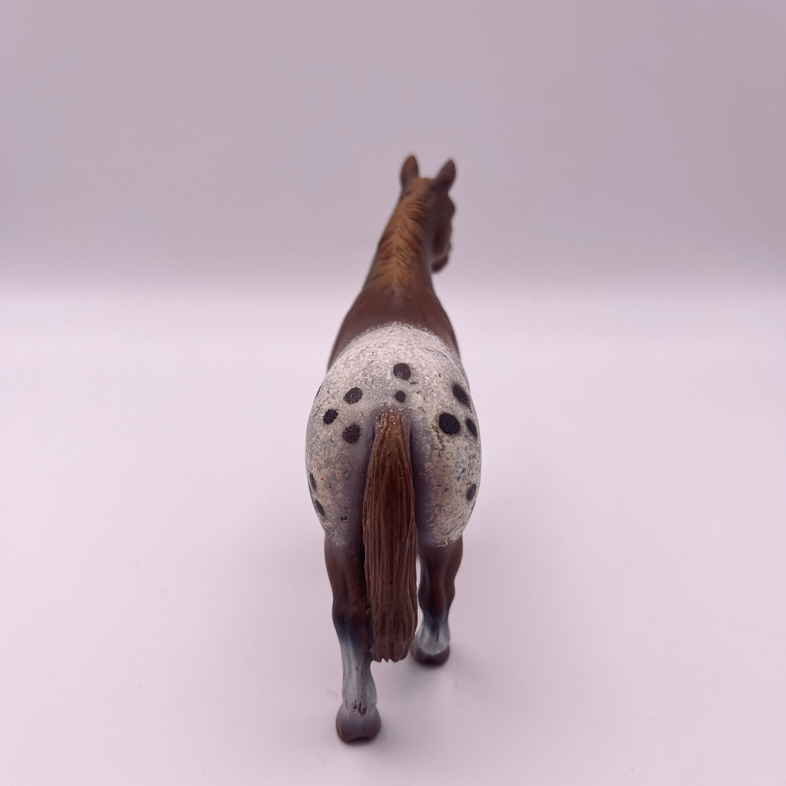Pferd (gebraucht)